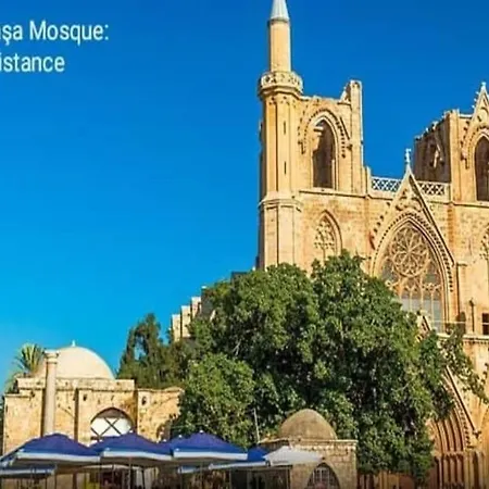 فيلة Joseph Cyprus Perivolia tou Trikomou
