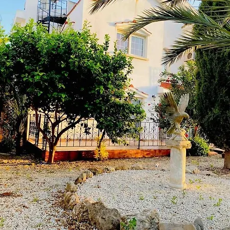 Joseph Cyprus فيلة *